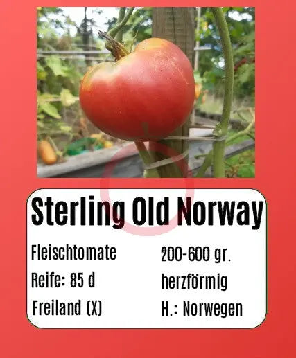 Sterling Old Norway DER TOMATENFLÜSTERER