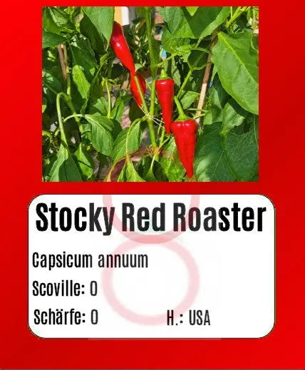 Stocky Red Roaster DER TOMATENFLÜSTERER