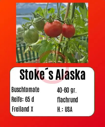 Stoke's Alaska DER TOMATENFLÜSTERER