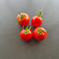 Stoke's Alaska DER TOMATENFLÜSTERER