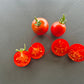 Stoke's Alaska DER TOMATENFLÜSTERER