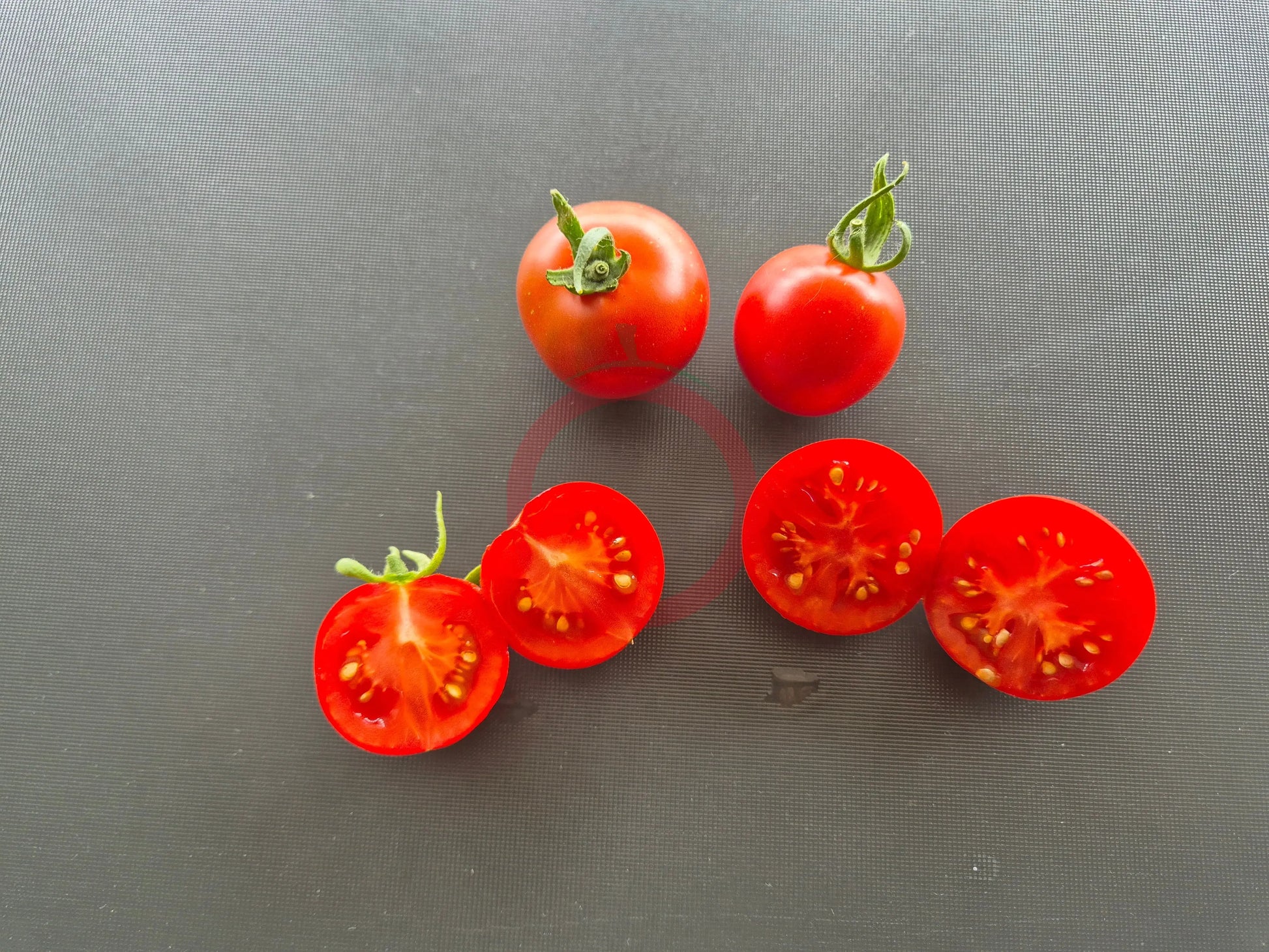 Stoke's Alaska DER TOMATENFLÜSTERER