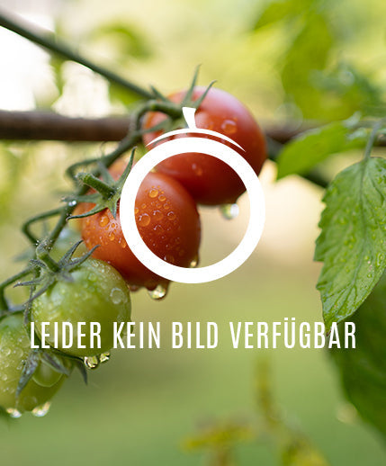 Stor Gul DER TOMATENFLÜSTERER