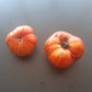 Striped Jester DER TOMATENFLÜSTERER