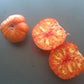 Striped Jester DER TOMATENFLÜSTERER