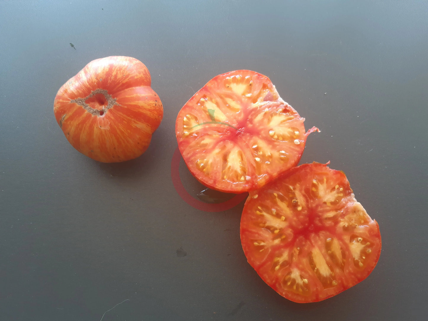 Striped Jester DER TOMATENFLÜSTERER