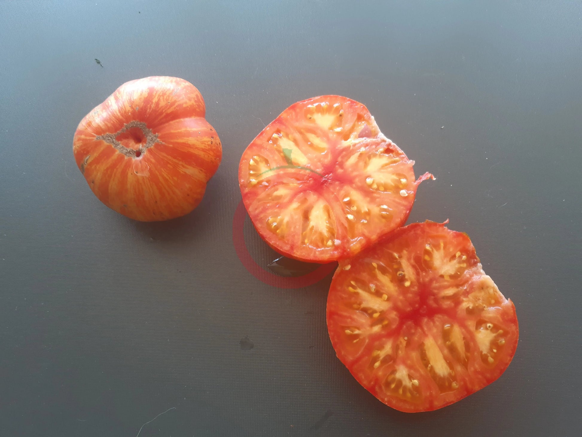Striped Jester DER TOMATENFLÜSTERER