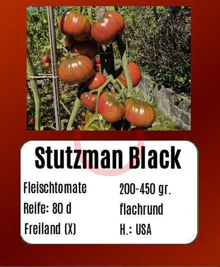 Stutzman Black DER TOMATENFLÜSTERER