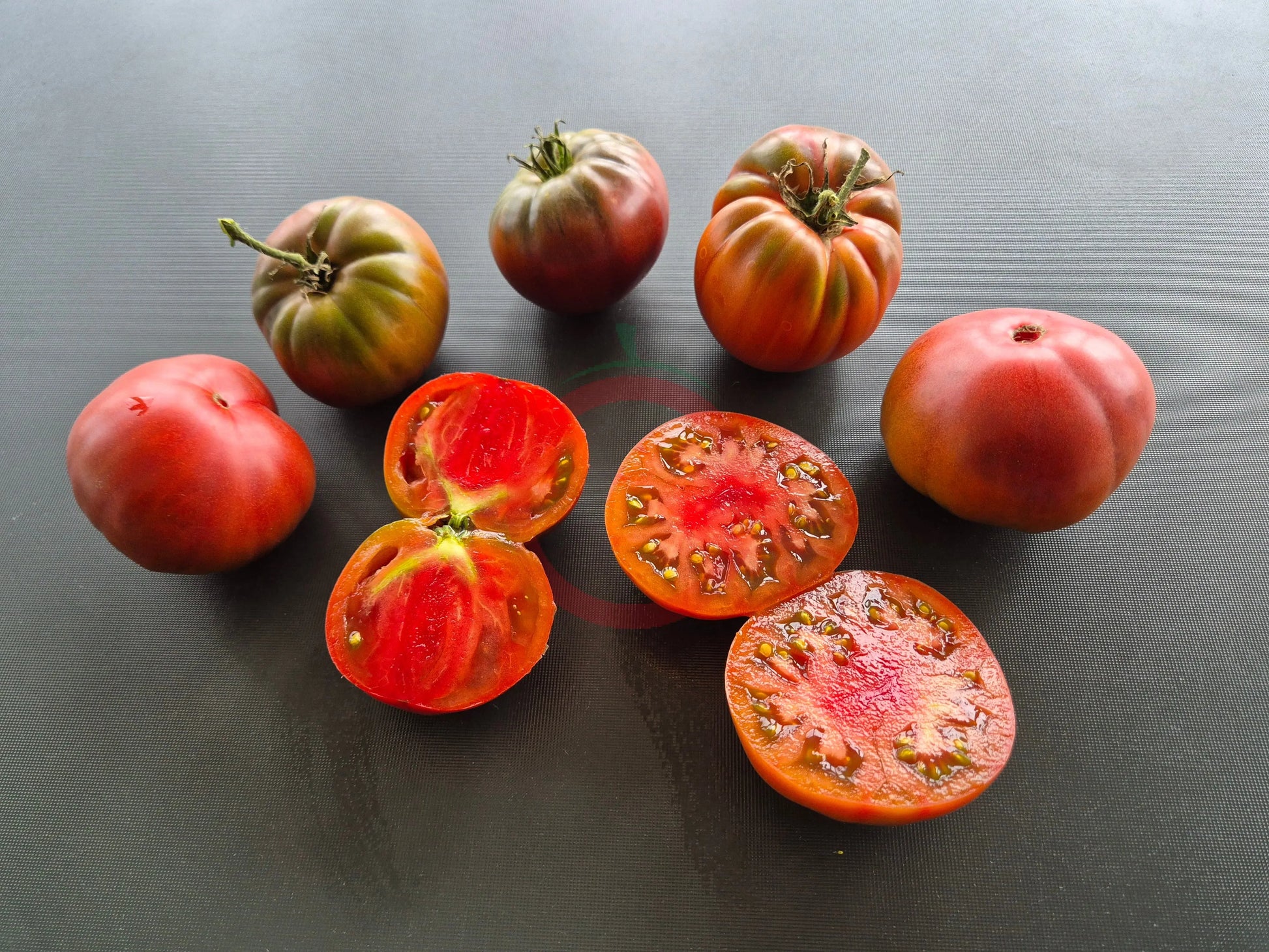 Stutzman Black DER TOMATENFLÜSTERER