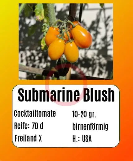 Submarine Blush DER TOMATENFLÜSTERER