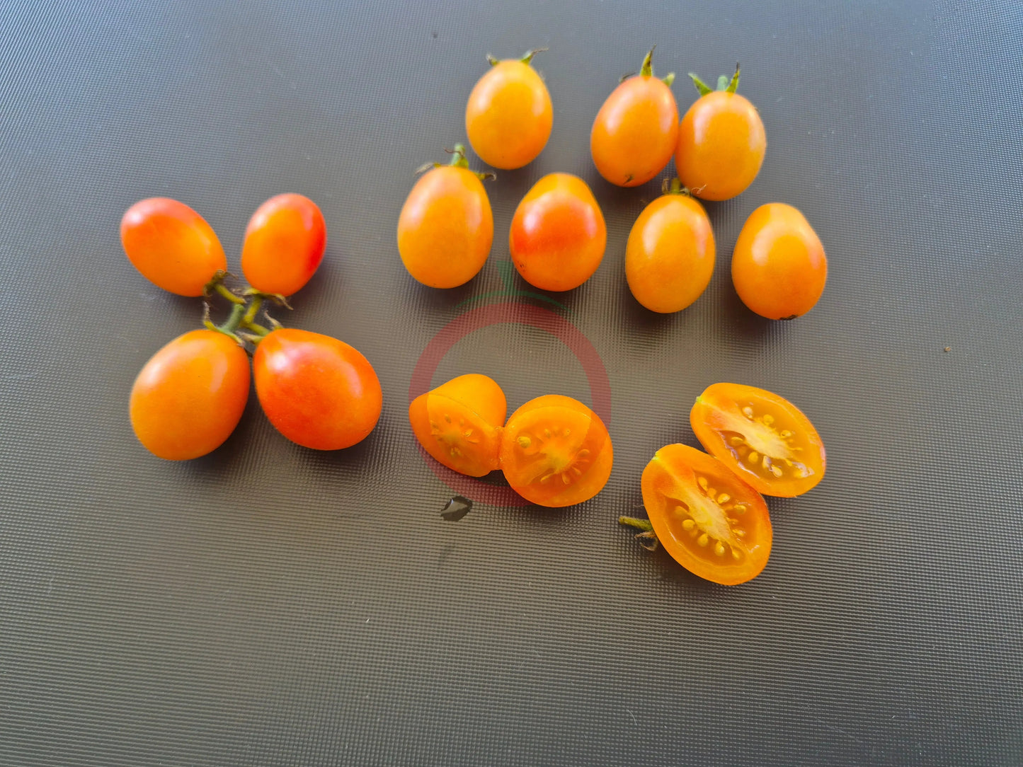 Submarine Blush DER TOMATENFLÜSTERER