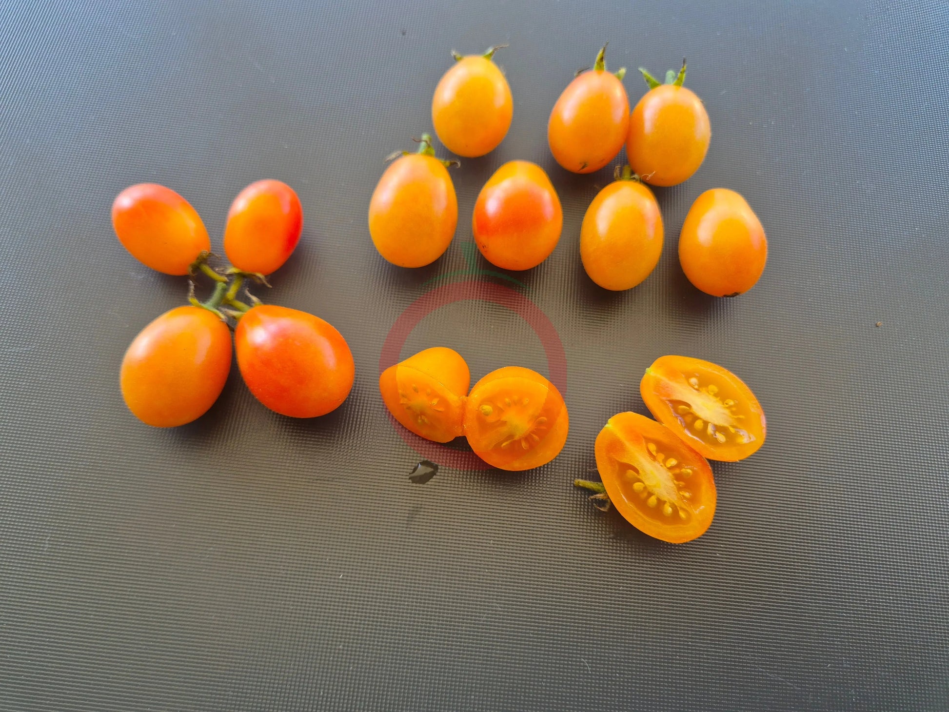 Submarine Blush DER TOMATENFLÜSTERER