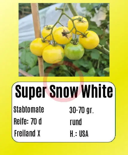 Super Snow White DER TOMATENFLÜSTERER