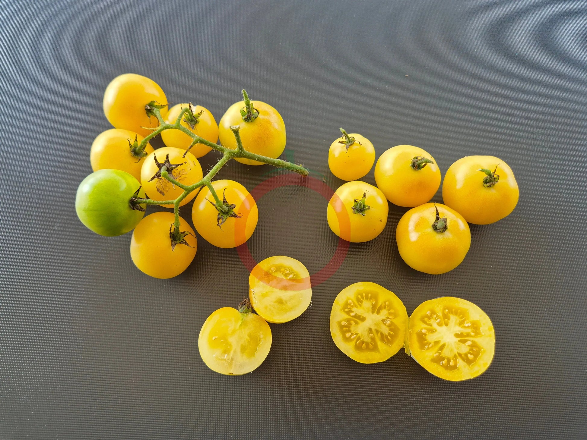 Super Snow White DER TOMATENFLÜSTERER