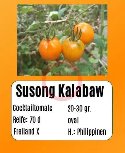 Susong Kalabaw DER TOMATENFLÜSTERER
