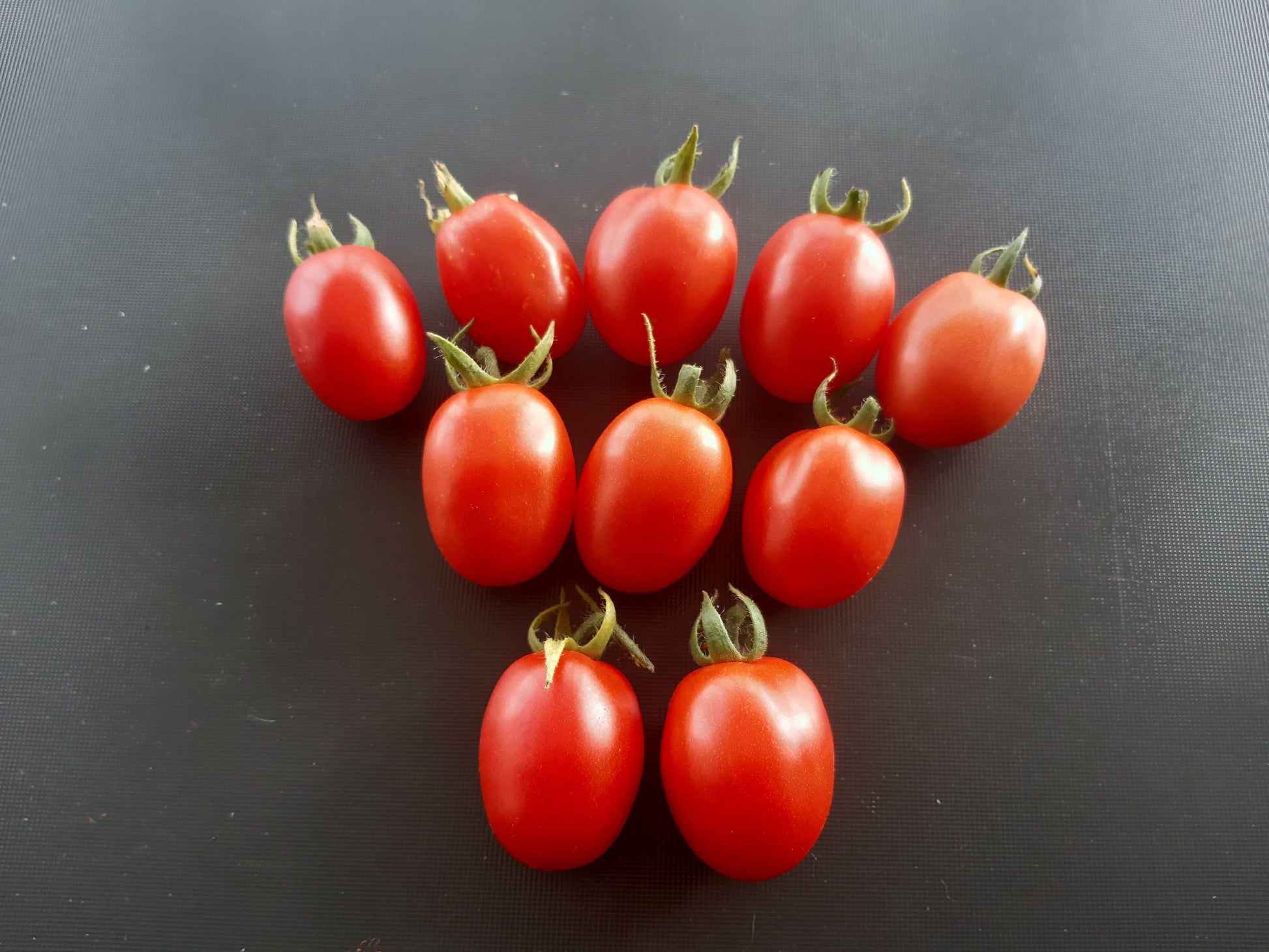 Swan´s Fluff DER TOMATENFLÜSTERER