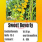 Sweet Beverly DER TOMATENFLÜSTERER
