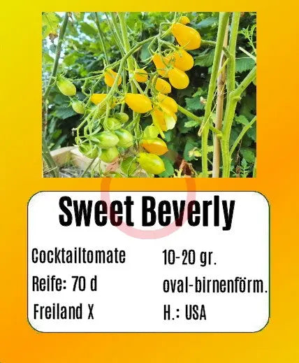 Sweet Beverly DER TOMATENFLÜSTERER