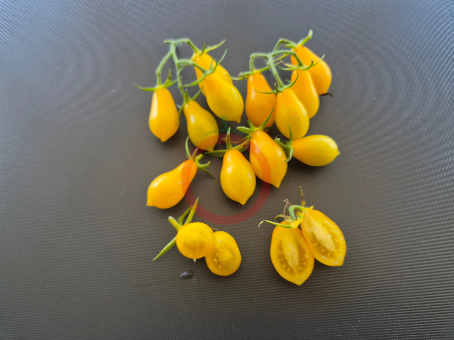 Sweet Beverly DER TOMATENFLÜSTERER