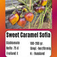 Sweet Caramel Sofia DER TOMATENFLÜSTERER