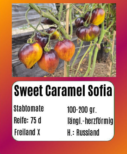 Sweet Caramel Sofia DER TOMATENFLÜSTERER