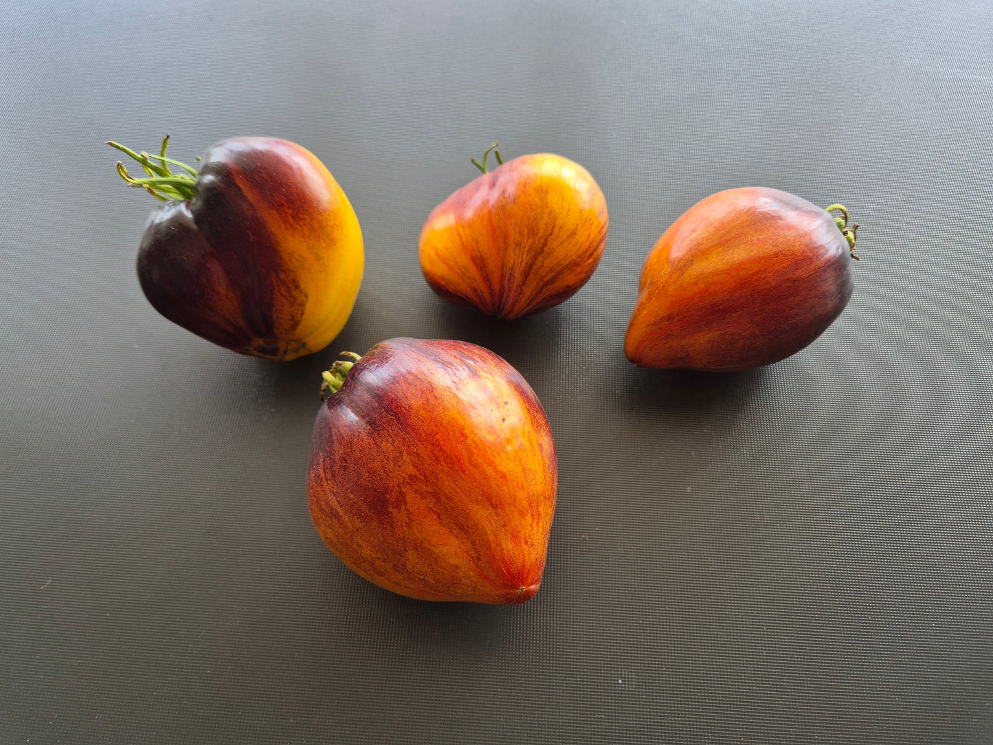 Sweet Caramel Sofia DER TOMATENFLÜSTERER