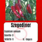 Szegediner DER TOMATENFLÜSTERER