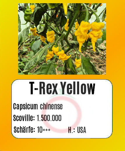 T-Rex Yellow DER TOMATENFLÜSTERER