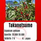 Takanotsume DER TOMATENFLÜSTERER