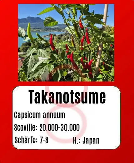 Takanotsume DER TOMATENFLÜSTERER