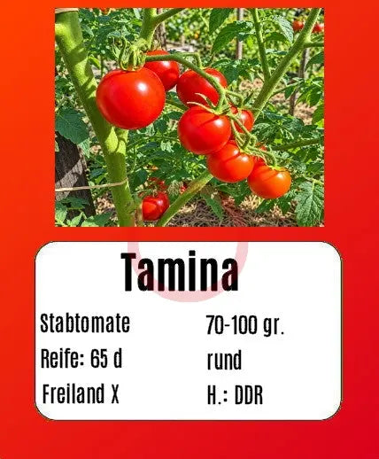Tamina DER TOMATENFLÜSTERER