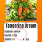 Tangerine Dream DER TOMATENFLÜSTERER