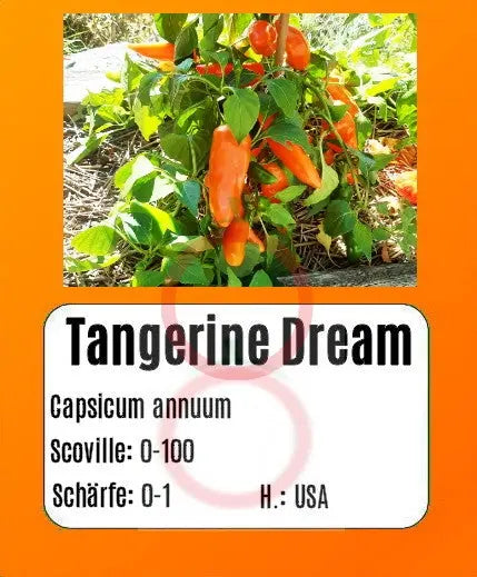 Tangerine Dream DER TOMATENFLÜSTERER
