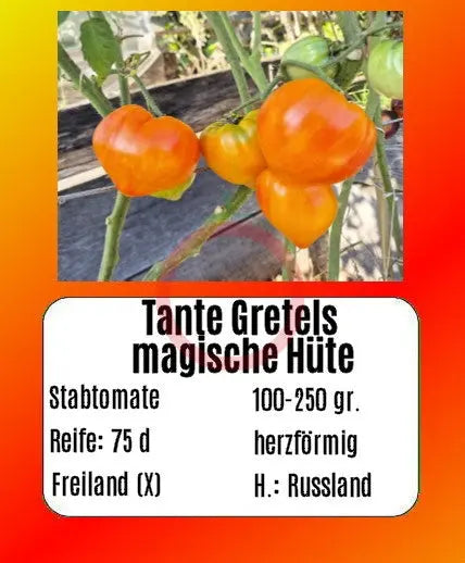 Tante Gretels magische Hüte DER TOMATENFLÜSTERER
