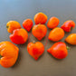 Tante Gretels magische Hüte DER TOMATENFLÜSTERER