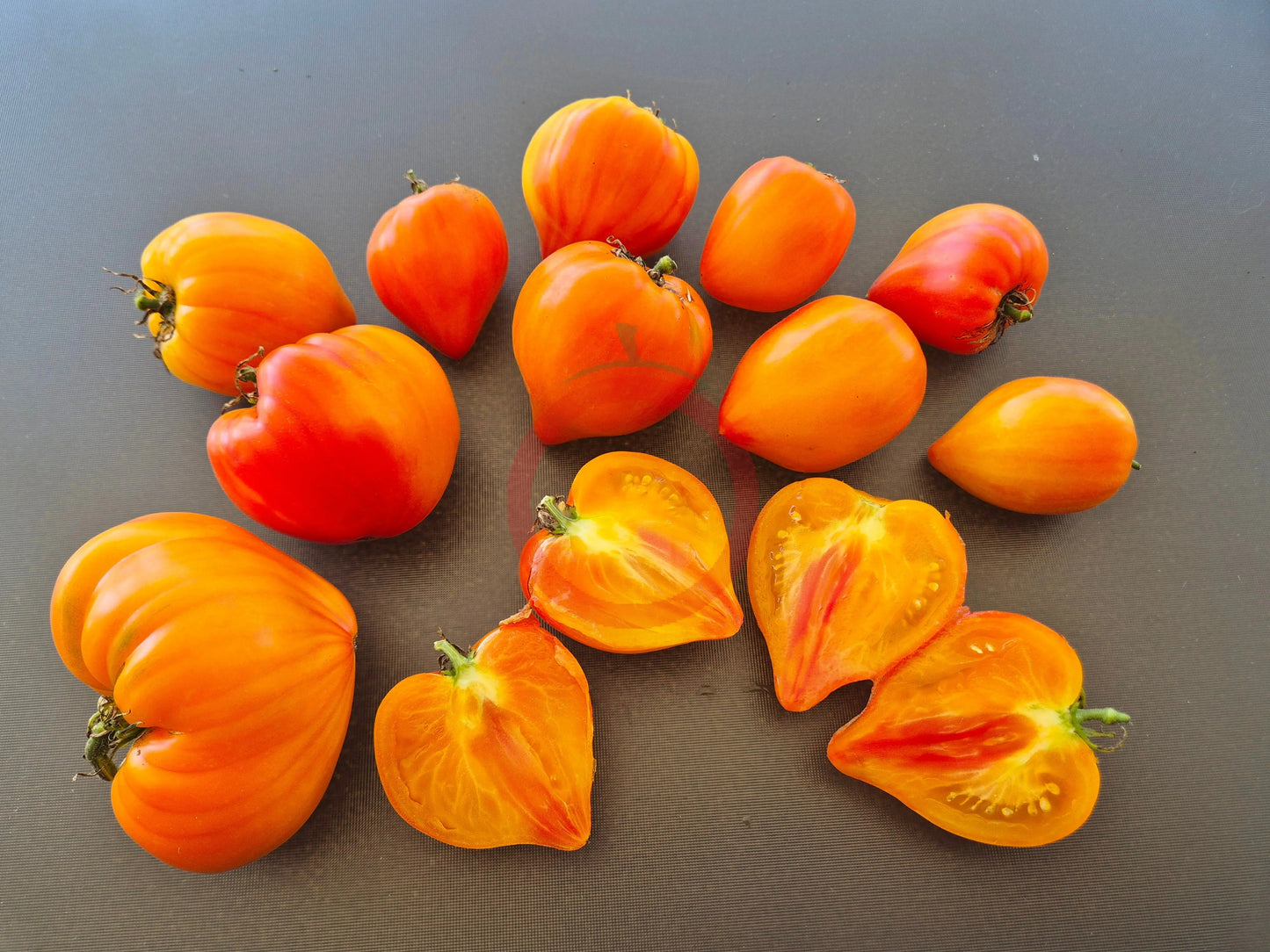Tante Gretels magische Hüte DER TOMATENFLÜSTERER