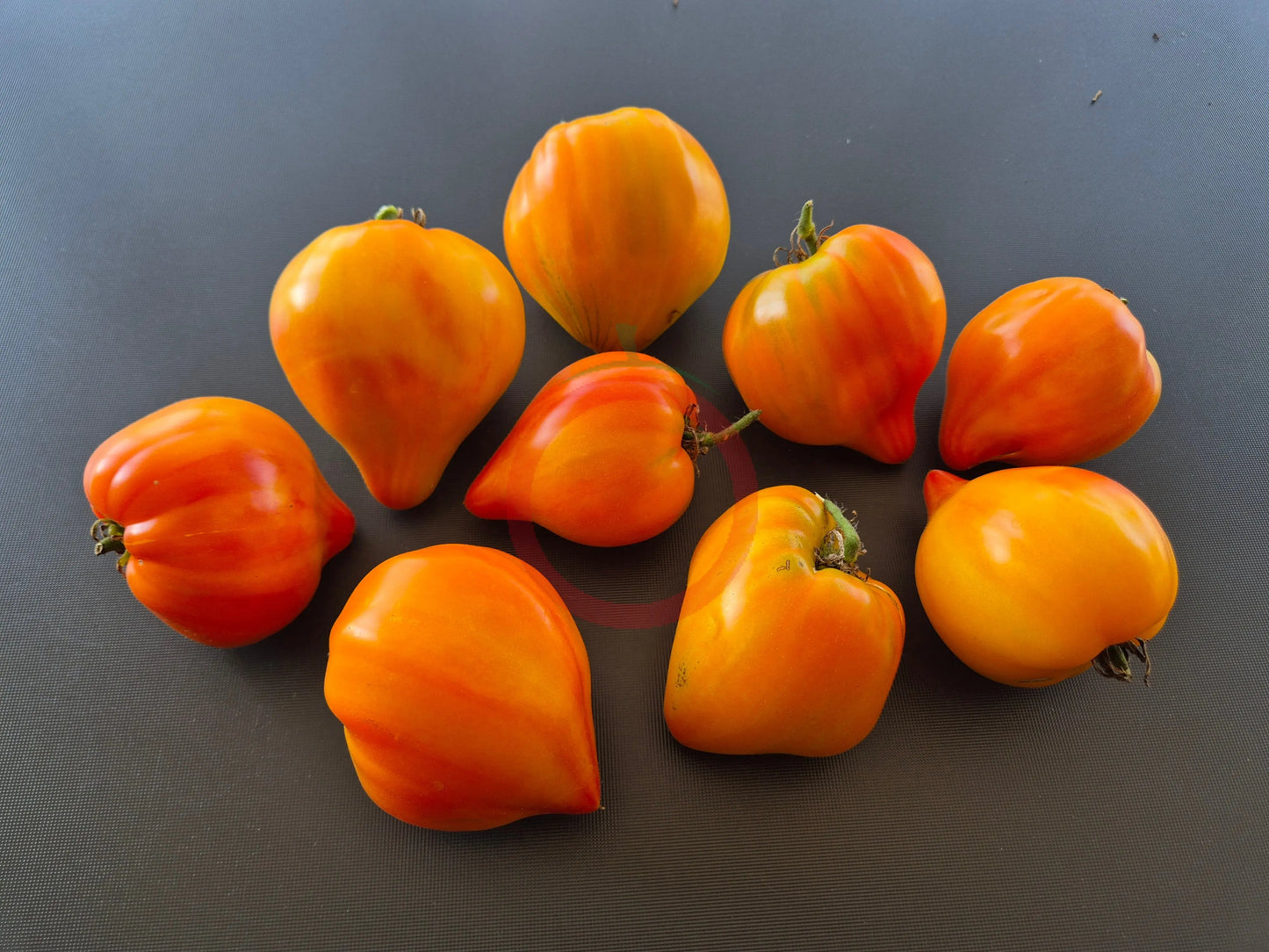 Tante Gretels magische Hüte DER TOMATENFLÜSTERER