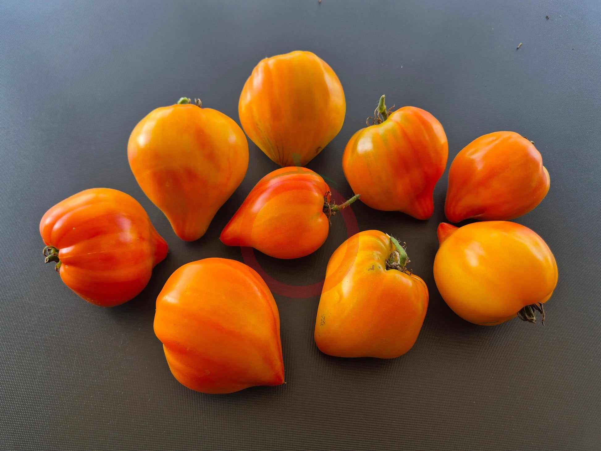 Tante Gretels magische Hüte DER TOMATENFLÜSTERER