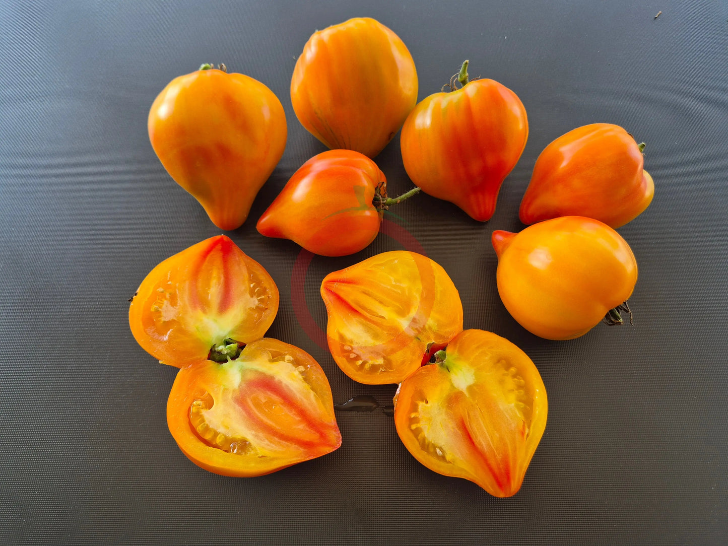 Tante Gretels magische Hüte DER TOMATENFLÜSTERER