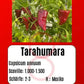 Tarahumara DER TOMATENFLÜSTERER