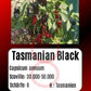 Tasmanian Black DER TOMATENFLÜSTERER