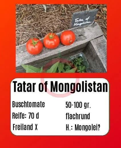 Tatar of Mongolistan DER TOMATENFLÜSTERER