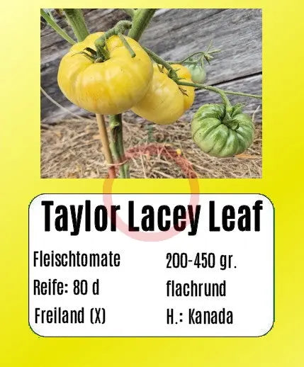 Taylor Lacey Leaf DER TOMATENFLÜSTERER
