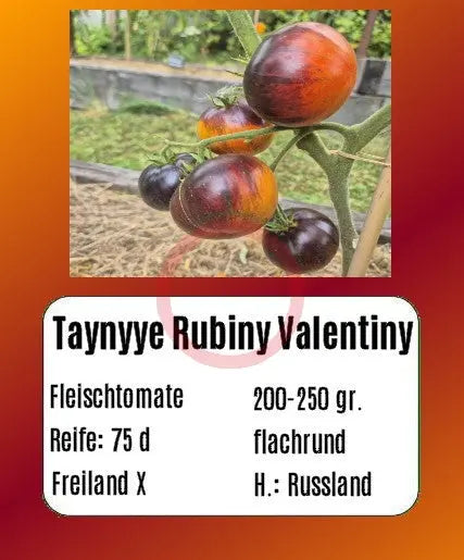 Taynyye Rubiny Valentiny DER TOMATENFLÜSTERER