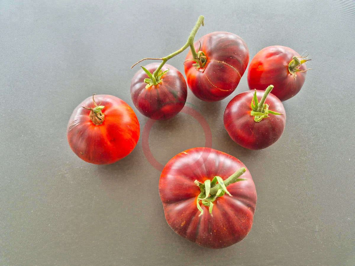 Taynyye Rubiny Valentiny DER TOMATENFLÜSTERER