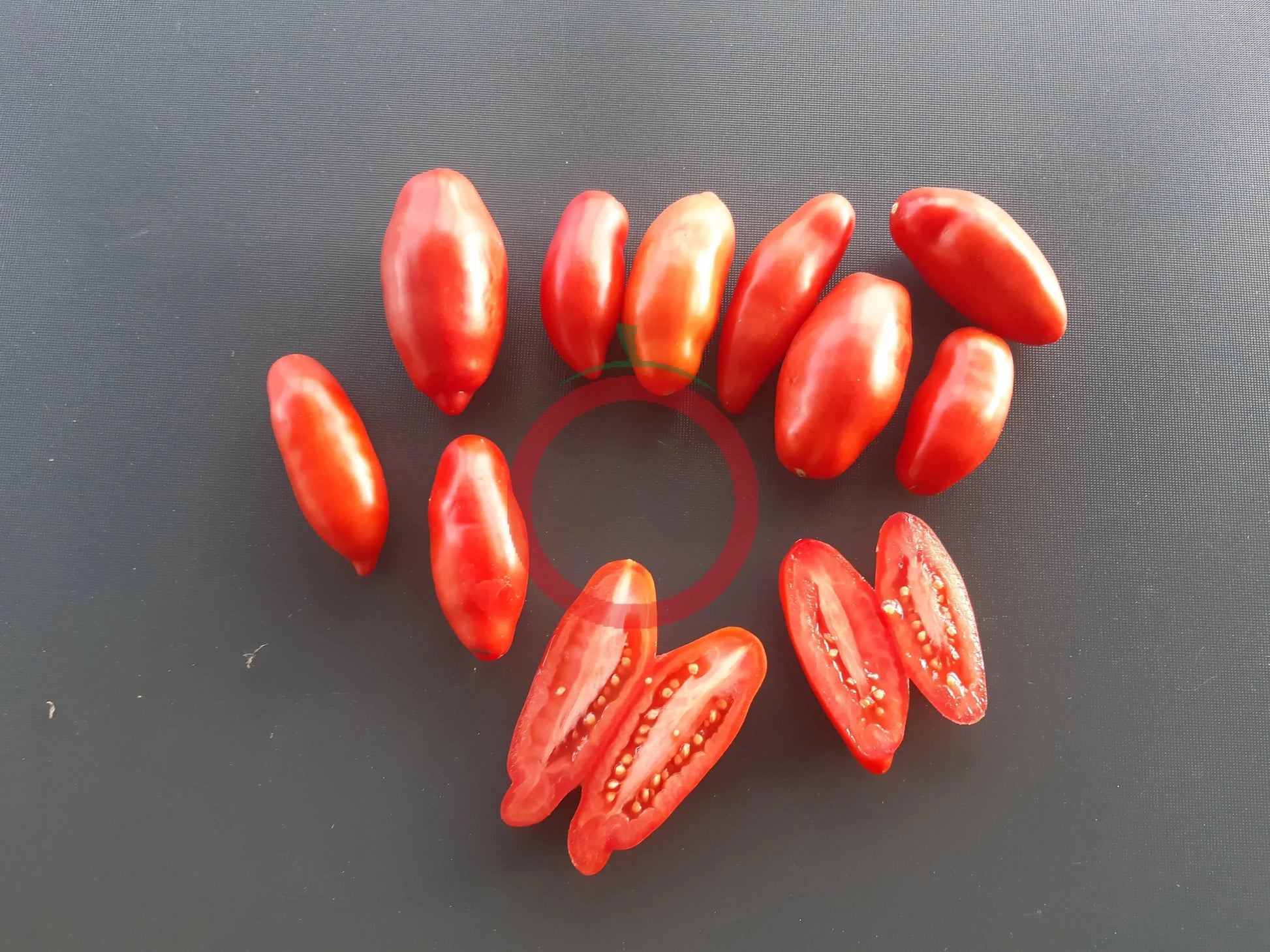 Tegucigalpa DER TOMATENFLÜSTERER