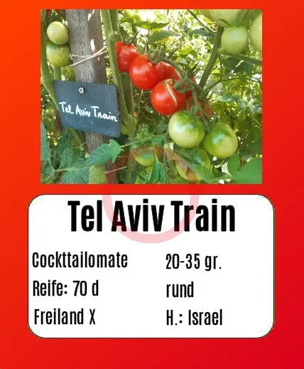 Tel Aviv Train DER TOMATENFLÜSTERER