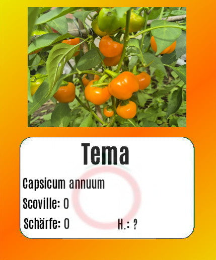 Tema DER TOMATENFLÜSTERER