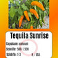 Tequila Sunrise DER TOMATENFLÜSTERER