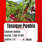 Tesuque Pueblo DER TOMATENFLÜSTERER